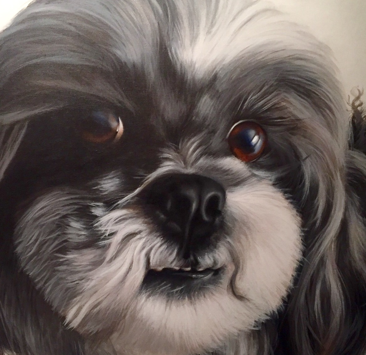 Painting schilderij portret pet portrait huisdier opdracht acryl canvas doek handpainted handgeschilderd puppy eyes cute dog hond hondje fur portretten paint acryl acrylic verf