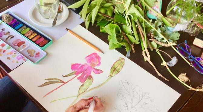 workshop workshops pastel tekenen teken pastelkrijt kleur kleuren mengen papier pastelpapier doezelen cursus cursussen schilderlessen lessen les kwasten verf paint drawing draw paper painting stilleven stilllife Clair obscure Zoetermeer lessons students kinder lessen kindercursus kindertekenen kinderschilderen creatief leren kind kinderlessen botanisch tekenen planten bloemen zaden blaadjes leafs flowers seeds aquarel botanicaldrawing botanical