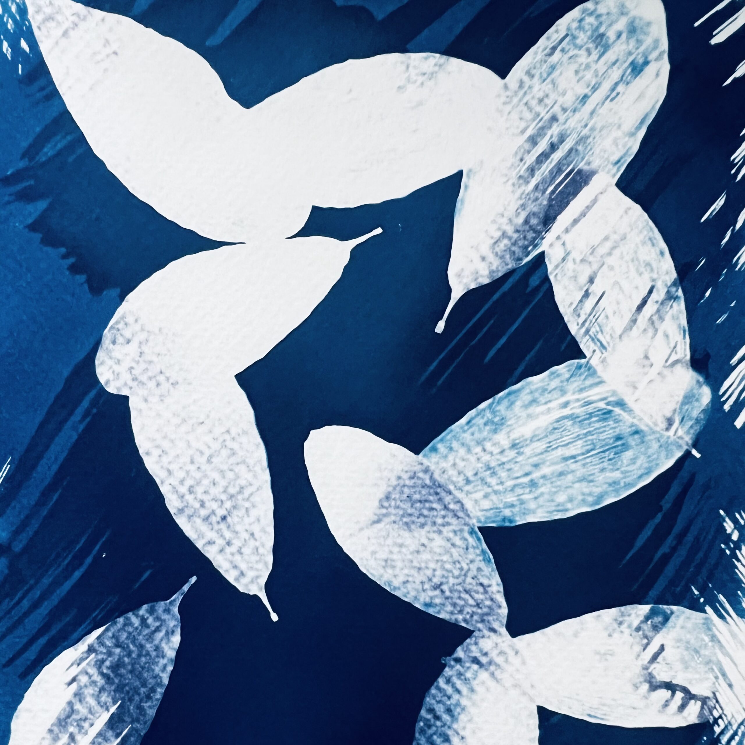 negatief afdruk print afdrukken printen printing uv light sun sunlight zonlicht licht blauw blueprint blue botanical print