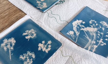 negatief afdruk print afdrukken printen printing uv light sun sunlight zonlicht licht blauw blueprint blue botanical print cyanotype cyanotypie