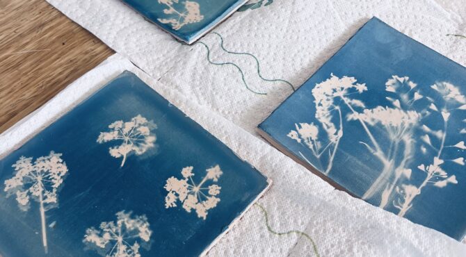 negatief afdruk print afdrukken printen printing uv light sun sunlight zonlicht licht blauw blueprint blue botanical print cyanotype cyanotypie