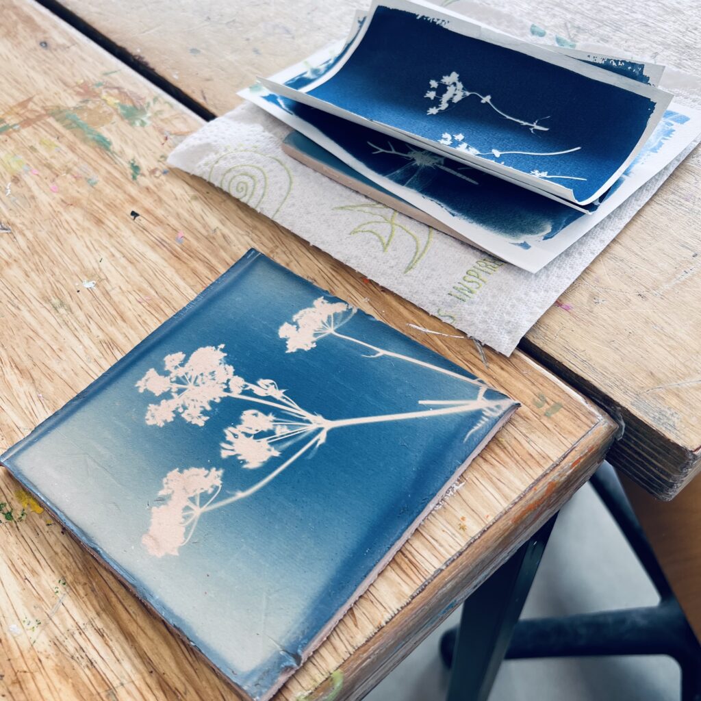 negatief afdruk print afdrukken printen printing uv light sun sunlight zonlicht licht blauw blueprint blue botanical print cyanotype cyanotypie